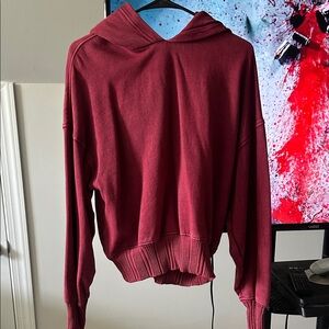 Aerie Burgundy Hooded Sweater